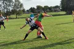 385807989_780375473887661_8620833206657709726_n