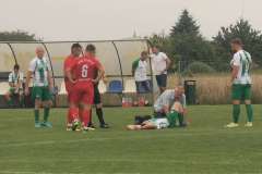 FB_IMG_1754429405262