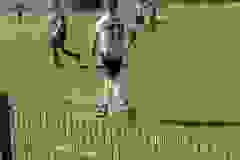 438108826_901579141767293_8782600568281795695_n