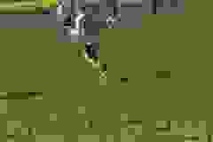 440859049_901579845100556_1095309824245834798_n