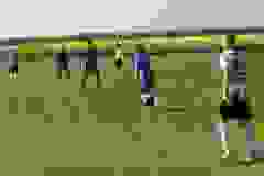 441151444_901579328433941_1845304649903261100_n