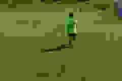 446688702_982400777220704_2046837171967071838_n