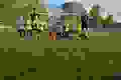 446799812_982401663887282_4314479293916551645_n