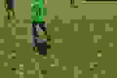 446814535_982401650553950_231588663140598041_n