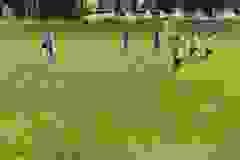 446898315_982401307220651_9072518198169129551_n