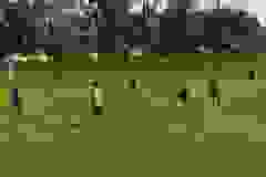 446934485_982401590553956_7475495710730639446_n