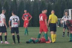 received_297912692137614