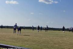 received_213926390036301