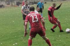 FB_IMG_1729196304573