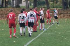 FB_IMG_1729196322087