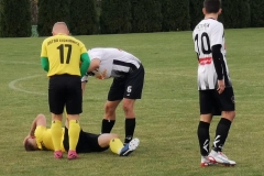 246013558_4295004650598530_7768803446379093244_n