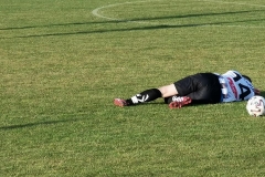 246133652_4295002017265460_4196963862027372882_n