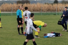 246351217_4295003330598662_5306781075380881843_n