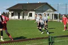 342220493_534705765483056_8924513902240442569_n