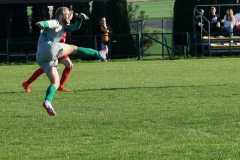 343162785_790446495831986_5192575666477223311_n