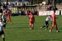 337979050_297351279631566_5647652996440570417_n