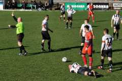 338037413_896534698309164_1305016188150822827_n