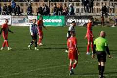 338148643_1418833215528302_8348030960123301890_n