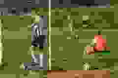 445170507_914745513783989_6736010860990121957_n