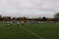 USER_SCOPED_TEMP_DATA_orca_share_media1604187001280_6728447956218964972