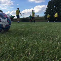 Sparing nr 7: Piaskovia Piaski